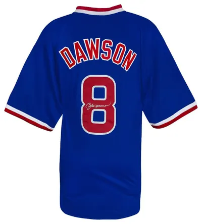 Andre Dawson Blue Throwback Custom Baseball Jersey - (SCHWARTZ )